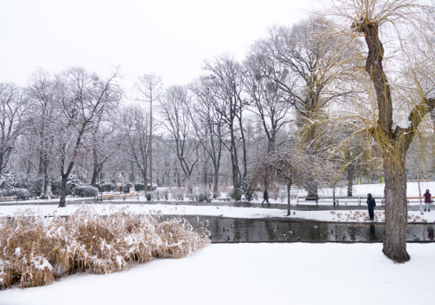     Wiedeń, park miejski zimą 
